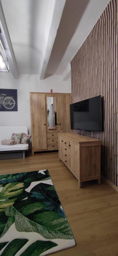 Brzezno Plaza Apartment
