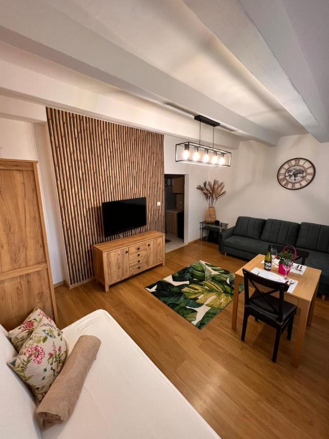 Brzezno Plaza Apartment